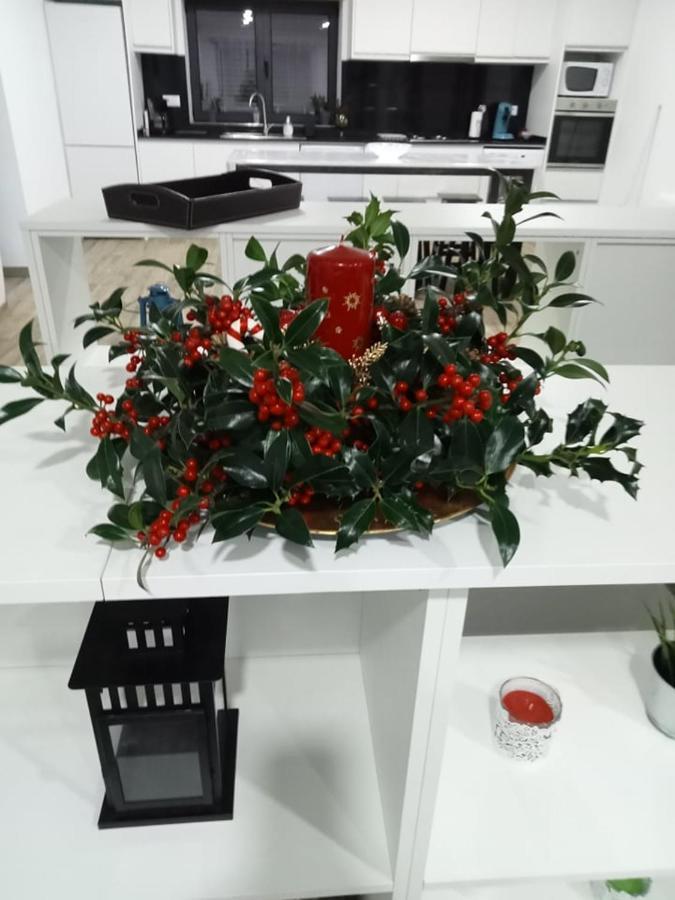 Casa Do Mestre 비에이라도미노 외부 사진